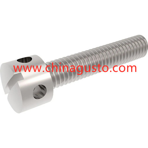 DIN404 Slotted capstan screws
