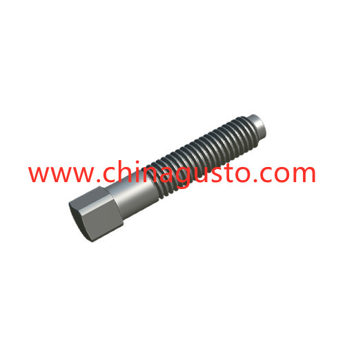 DIN479 Square head bolts with short dog point