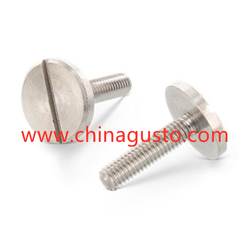 DIN921 Slotted pan head screws with large head2