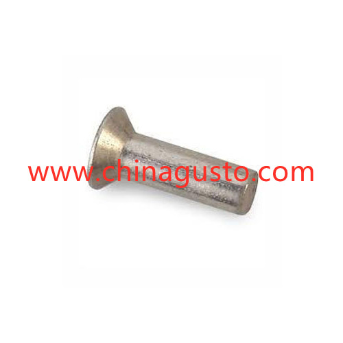 DIN302 Countersunk Head Rivets(Dia. 10~36mm)