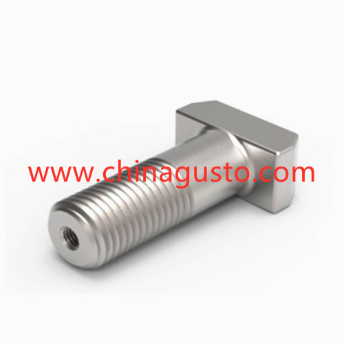 DIN261 Tornillo en T con cabeza de martillo con agujero en e