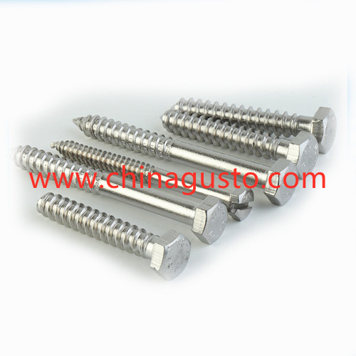 DIN571 Coach wood screw with hexagonal head