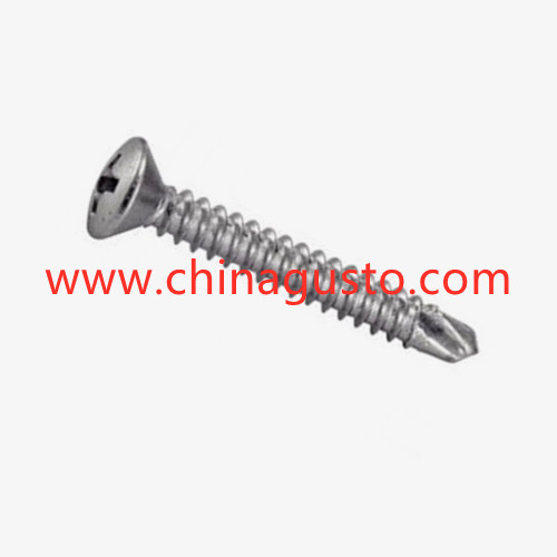 DIN7504 Cross slotted raised countersunk head drilling tail